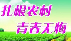 大學(xué)生村官選調(diào)生是公務(wù)員嗎？村官選調(diào)生和選調(diào)生什么區(qū)別？有編制嗎？