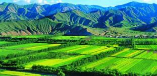 廣西農(nóng)村投資集團(tuán)待遇怎么樣？廣西農(nóng)業(yè)信貸擔(dān)保公司工資多少？中層如何？